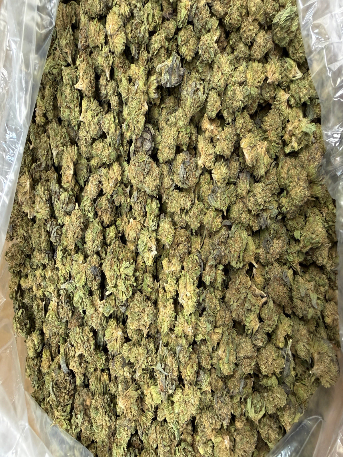 Bulk THCA Flower Snowcaps Strains - Wholesale Indoor Grown Hemp | Lab Tested COA