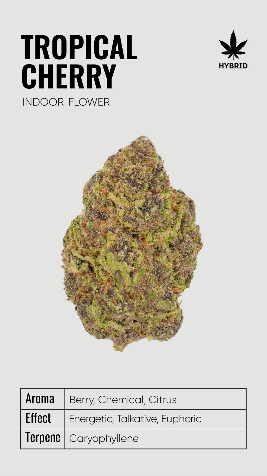 BULK THCA Flower PREMIUM Light Assist - Wholesale Indoor Grown Hemp | Lab Tested