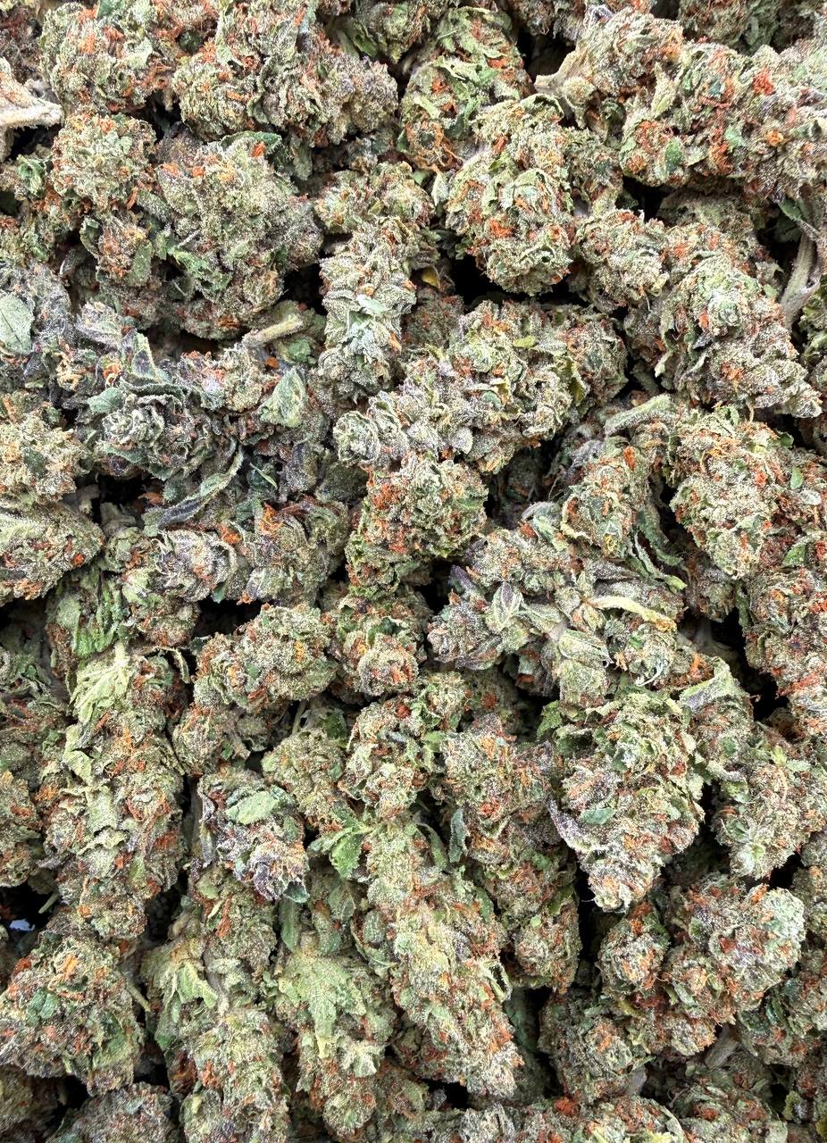 Bulk THCA Flower Exotic Shake & Trim Strains - Wholesale Indoor Grown Hemp | Lab Tested COA