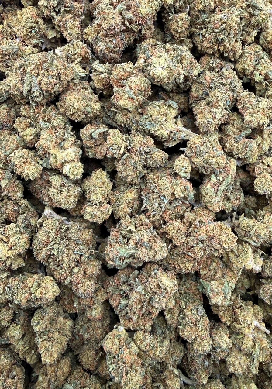 Bulk THCA Flower Exotic Shake & Trim Strains - Wholesale Indoor Grown Hemp | Lab Tested COA