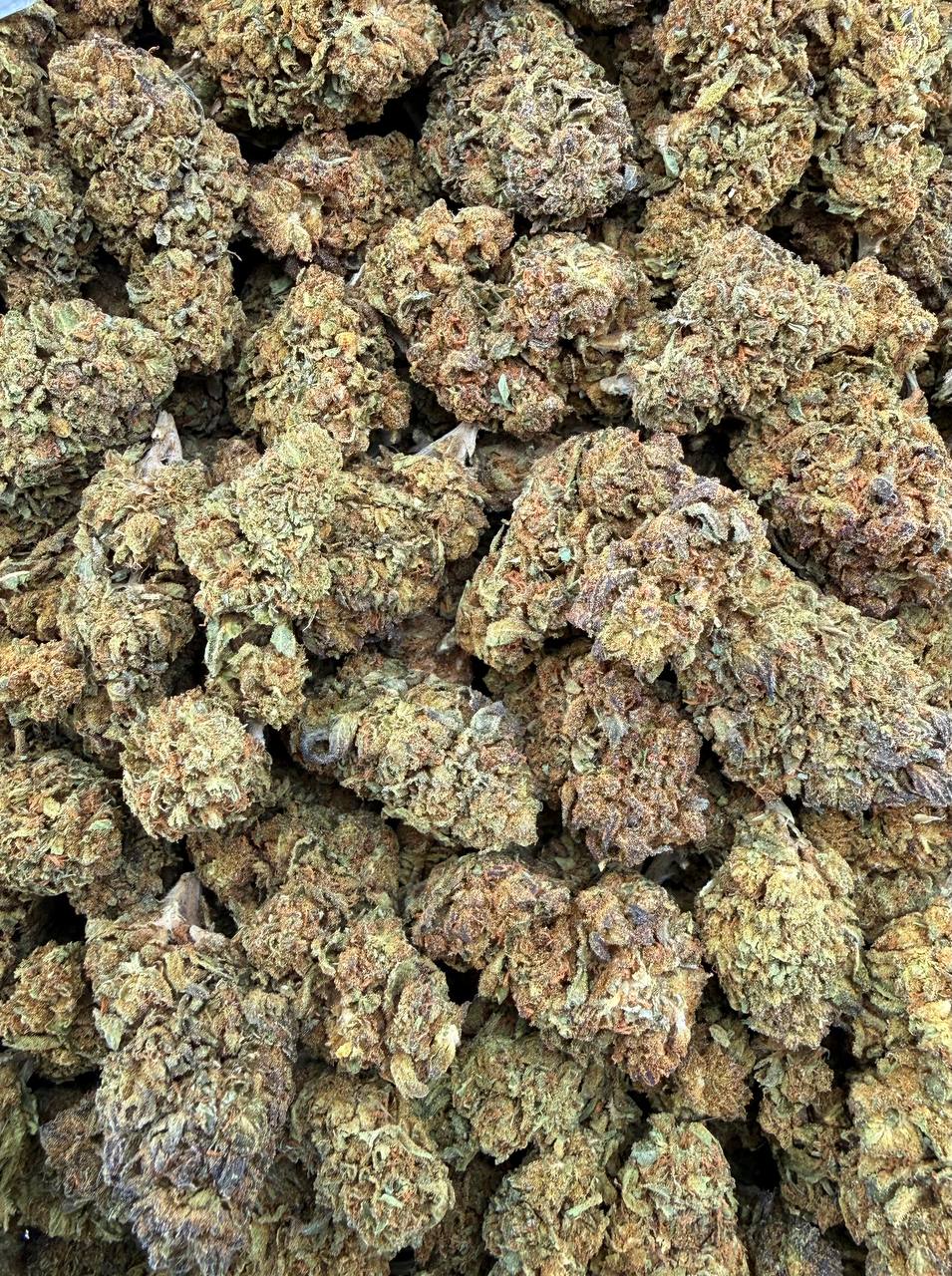 Bulk THCA Flower Exotic Shake & Trim Strains - Wholesale Indoor Grown Hemp | Lab Tested COA