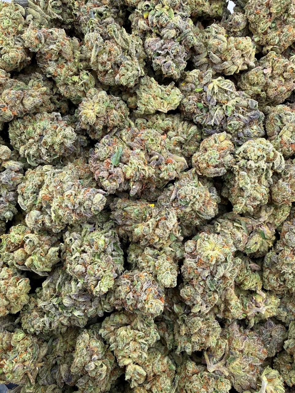 Bulk THCA Flower Exotic Shake & Trim Strains - Wholesale Indoor Grown Hemp | Lab Tested COA
