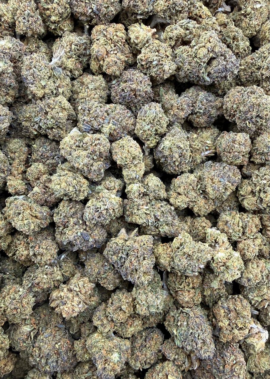 Bulk THCA Flower Exotic Shake & Trim Strains - Wholesale Indoor Grown Hemp | Lab Tested COA