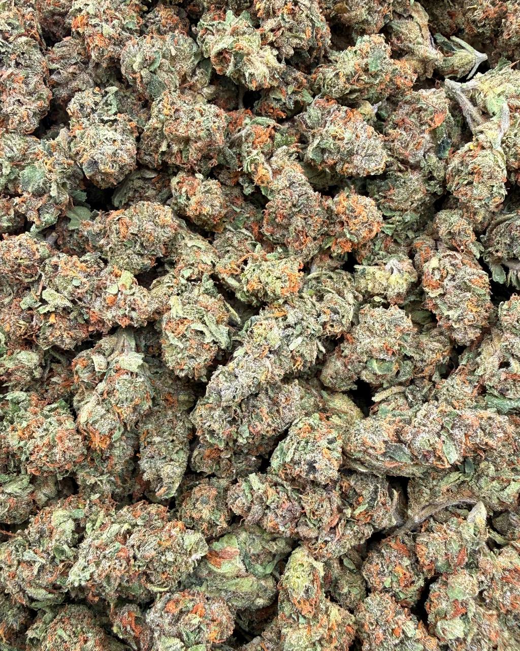 Bulk THCA Flower Exotic Shake & Trim Strains - Wholesale Indoor Grown Hemp | Lab Tested COA