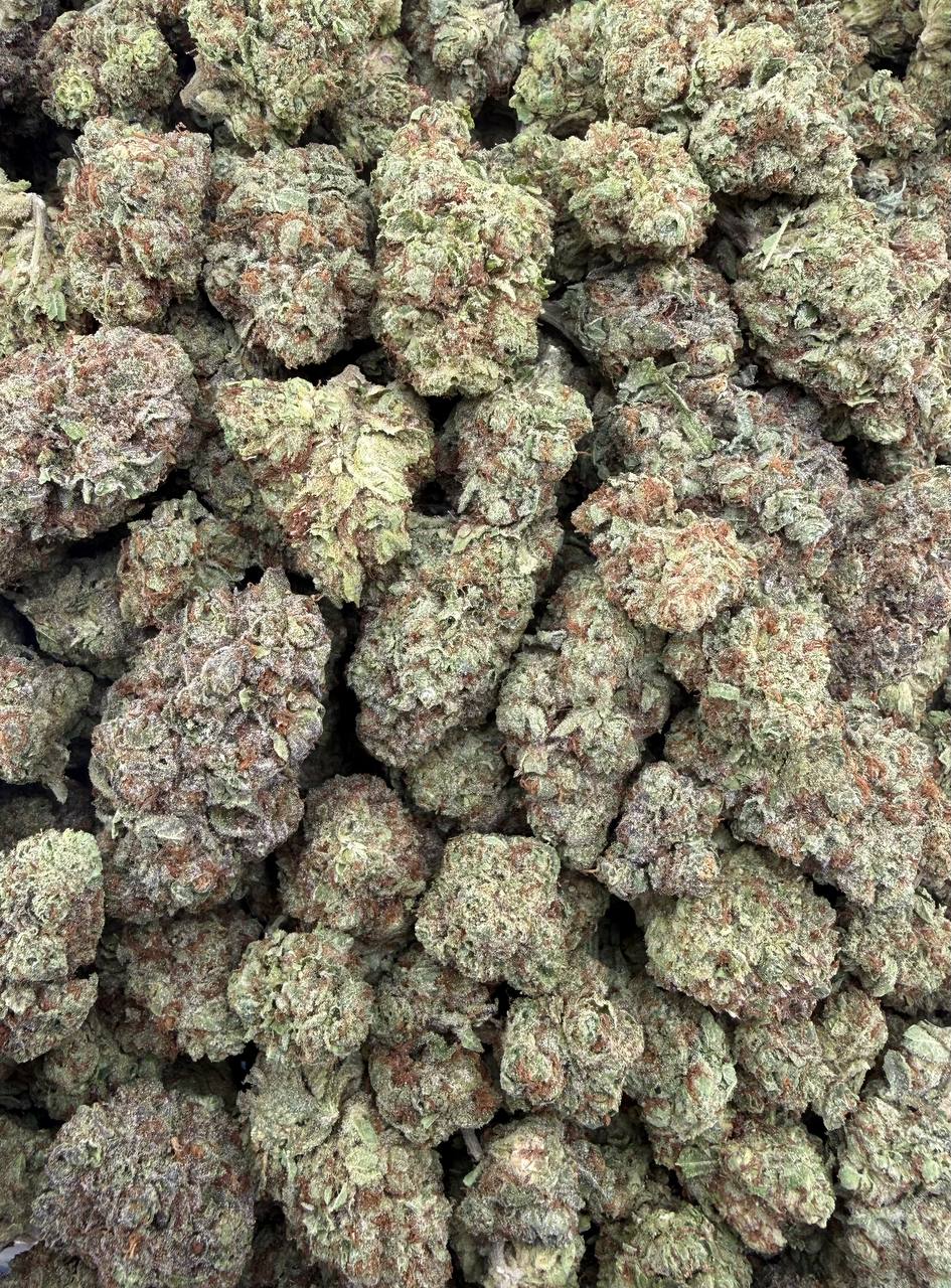 Bulk THCA Flower Exotic Shake & Trim Strains - Wholesale Indoor Grown Hemp | Lab Tested COA