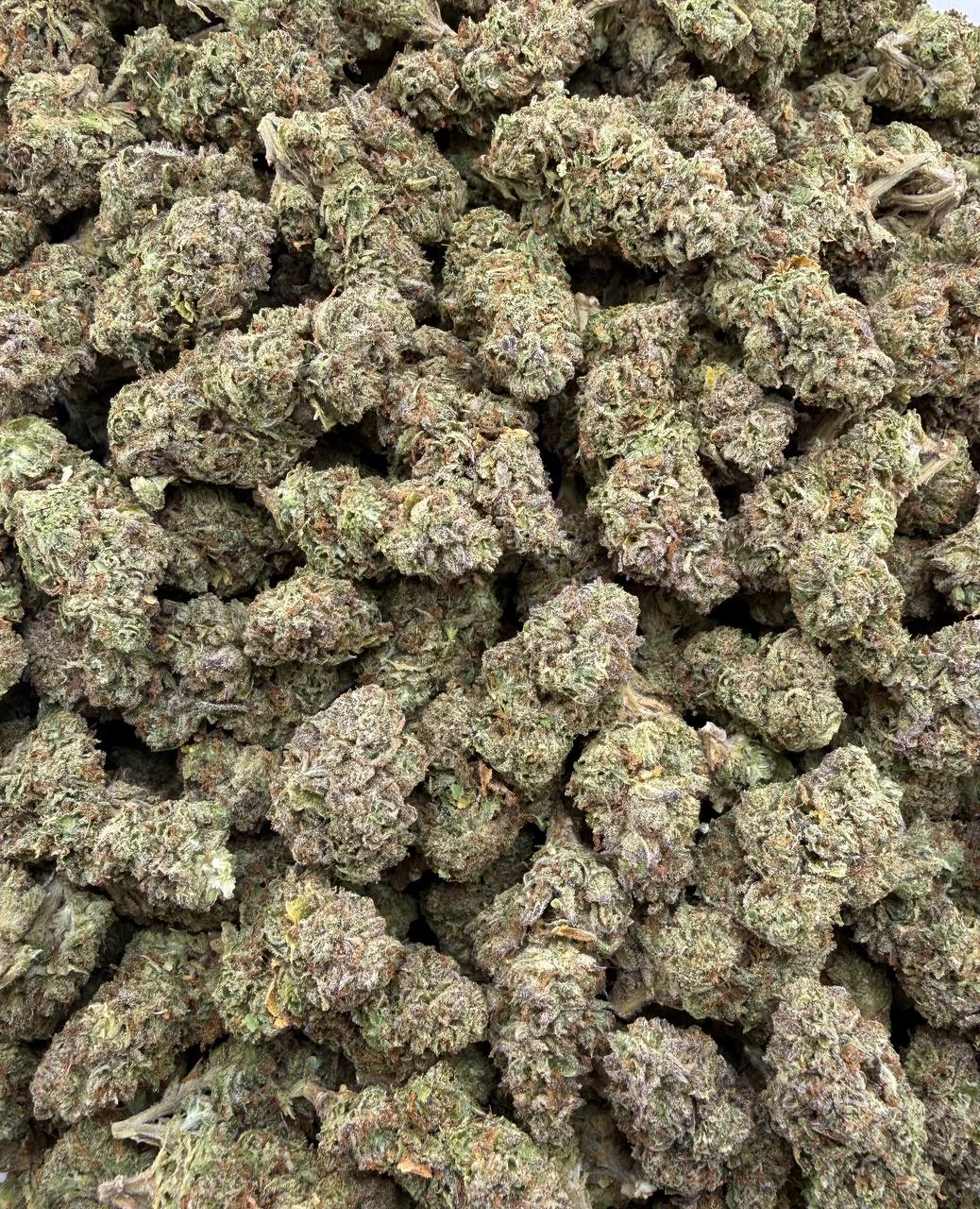 Bulk THCA Flower Exotic Shake & Trim Strains - Wholesale Indoor Grown Hemp | Lab Tested COA