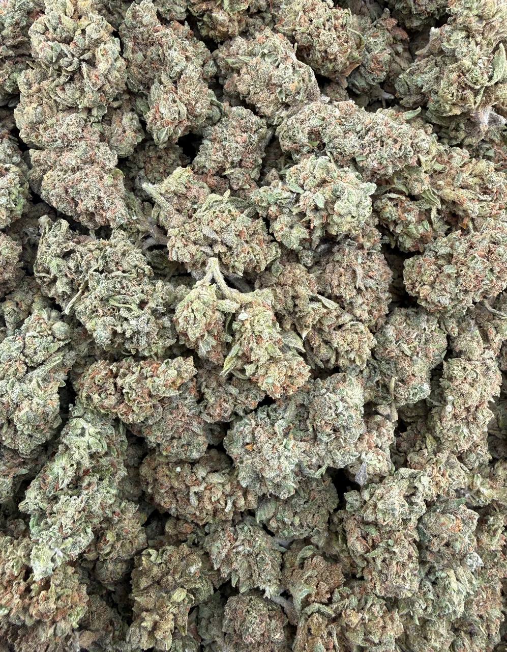 Bulk THCA Flower Exotic Shake & Trim Strains - Wholesale Indoor Grown Hemp | Lab Tested COA