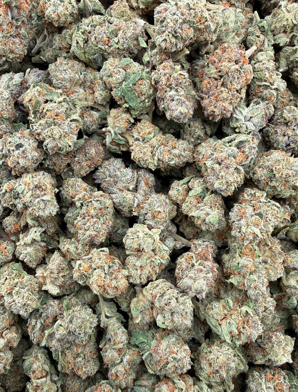 Bulk THCA Flower Exotic Shake & Trim Strains - Wholesale Indoor Grown Hemp | Lab Tested COA