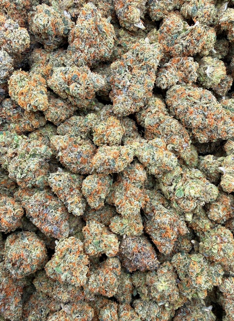 Bulk THCA Flower Exotic Shake & Trim Strains - Wholesale Indoor Grown Hemp | Lab Tested COA