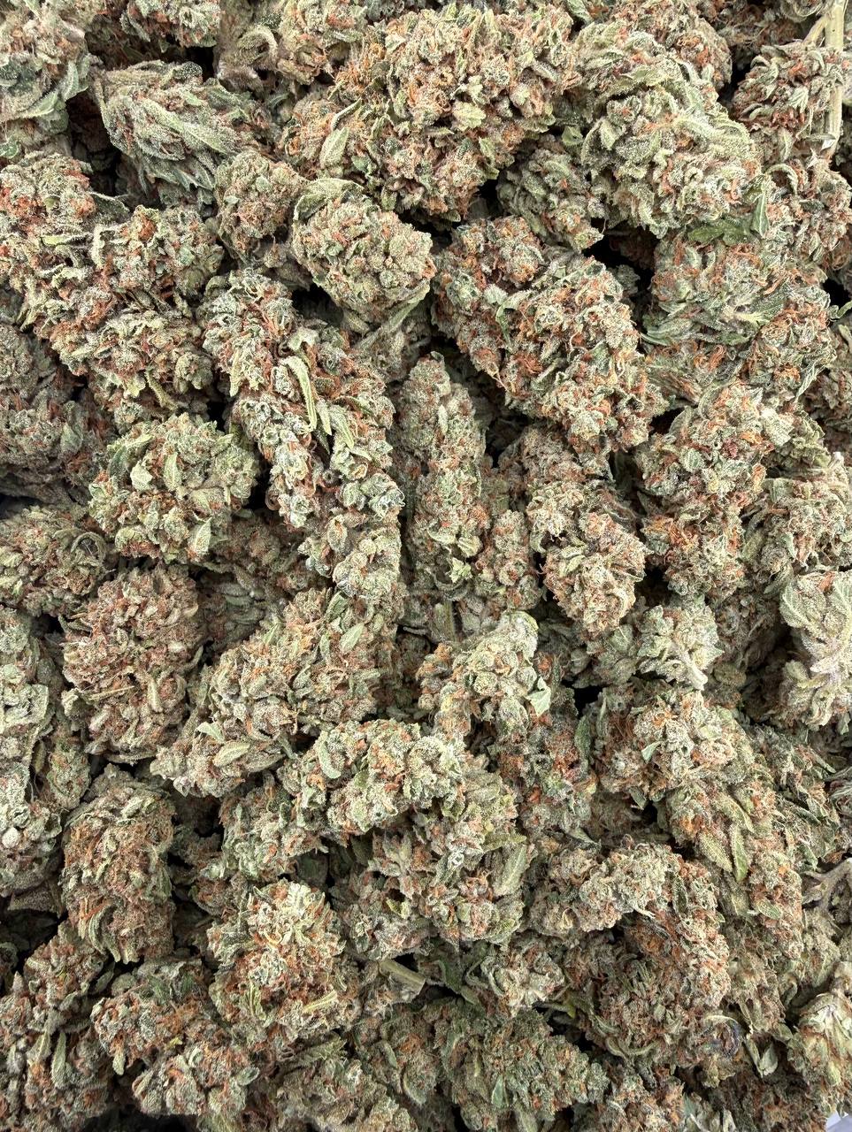 Bulk THCA Flower Exotic Shake & Trim Strains - Wholesale Indoor Grown Hemp | Lab Tested COA