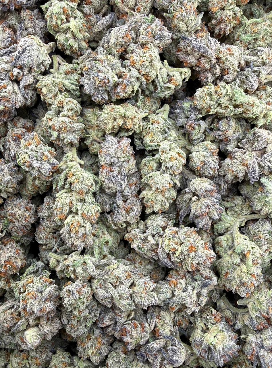 Bulk THCA Flower Exotic Shake & Trim Strains - Wholesale Indoor Grown Hemp | Lab Tested COA