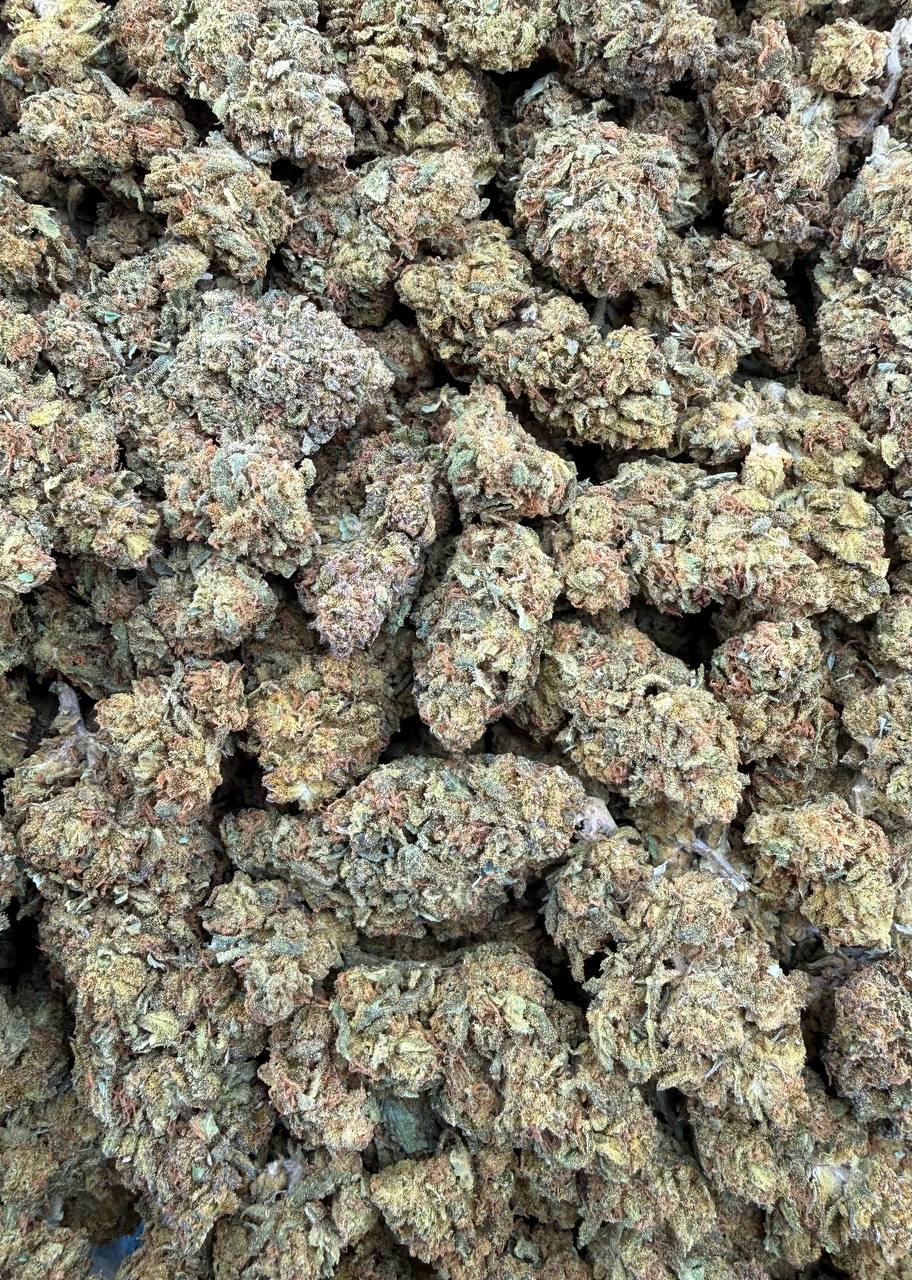 Bulk THCA Flower Exotic Shake & Trim Strains - Wholesale Indoor Grown Hemp | Lab Tested COA
