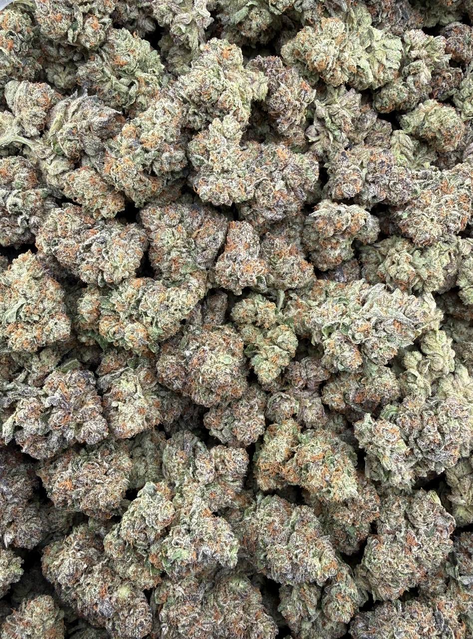 Bulk THCA Flower Exotic Shake & Trim Strains - Wholesale Indoor Grown Hemp | Lab Tested COA