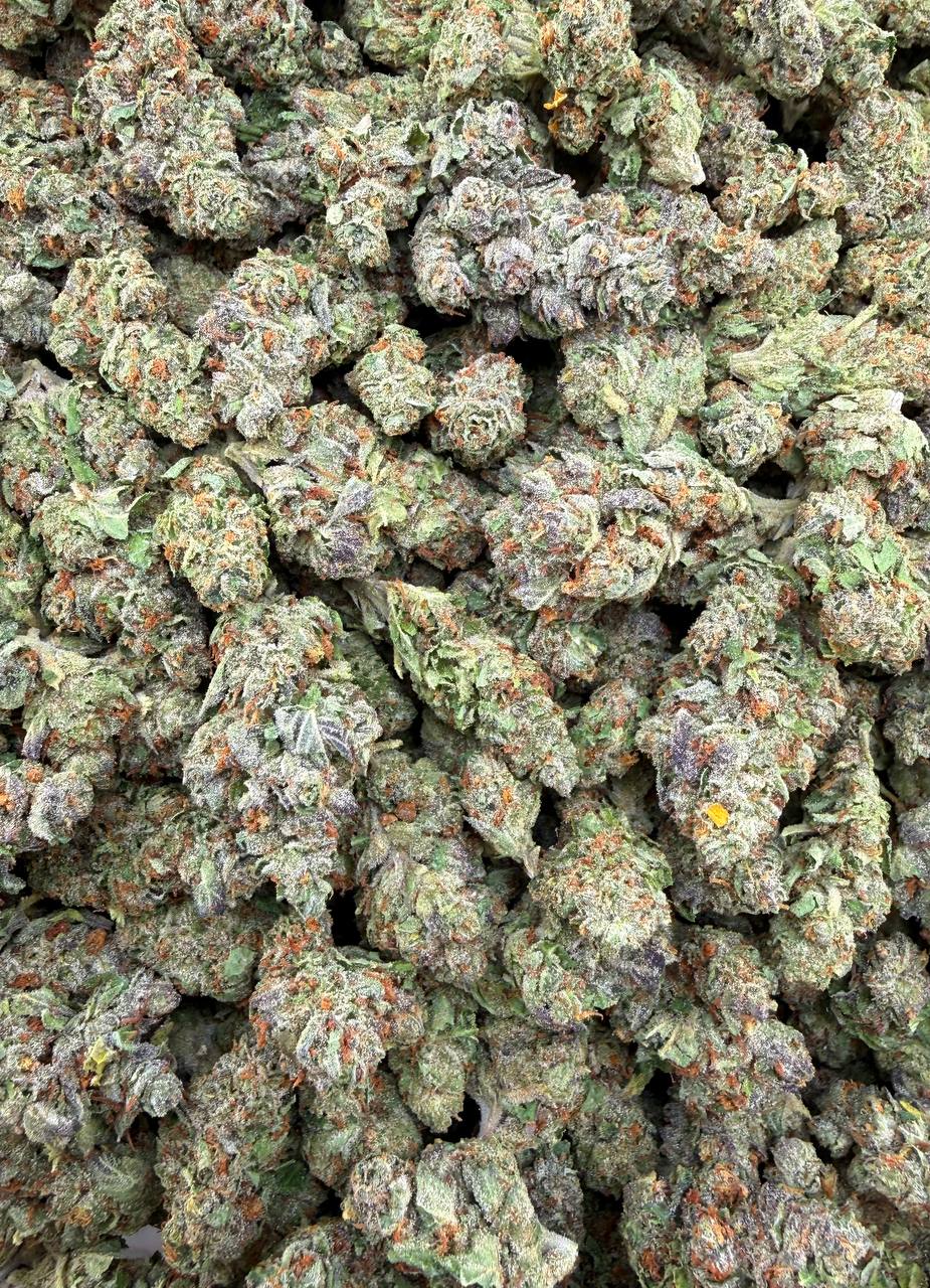 Bulk THCA Flower Exotic Shake & Trim Strains - Wholesale Indoor Grown Hemp | Lab Tested COA