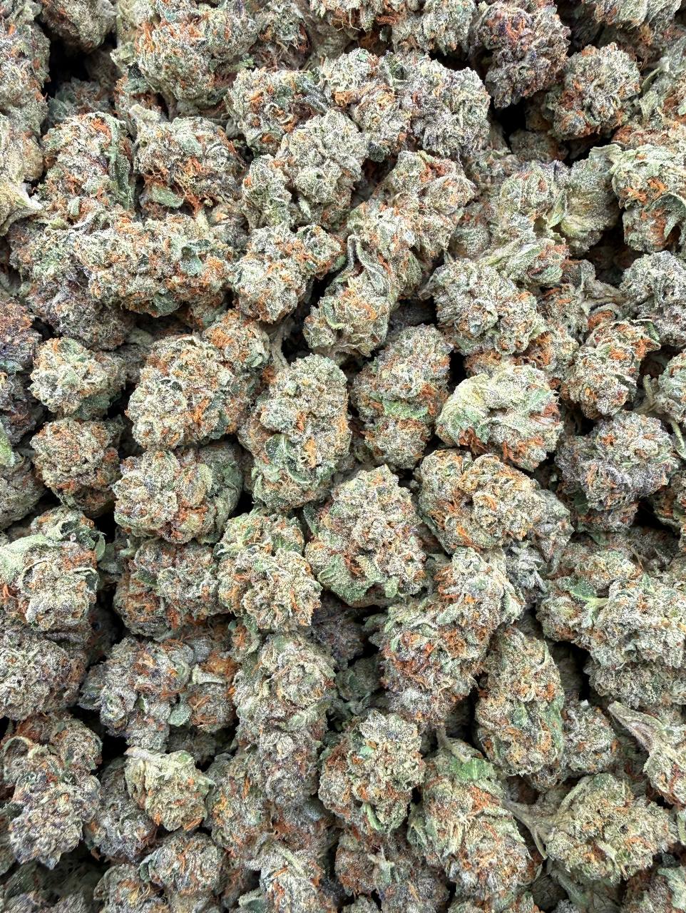Bulk THCA Flower Exotic Shake & Trim Strains - Wholesale Indoor Grown Hemp | Lab Tested COA