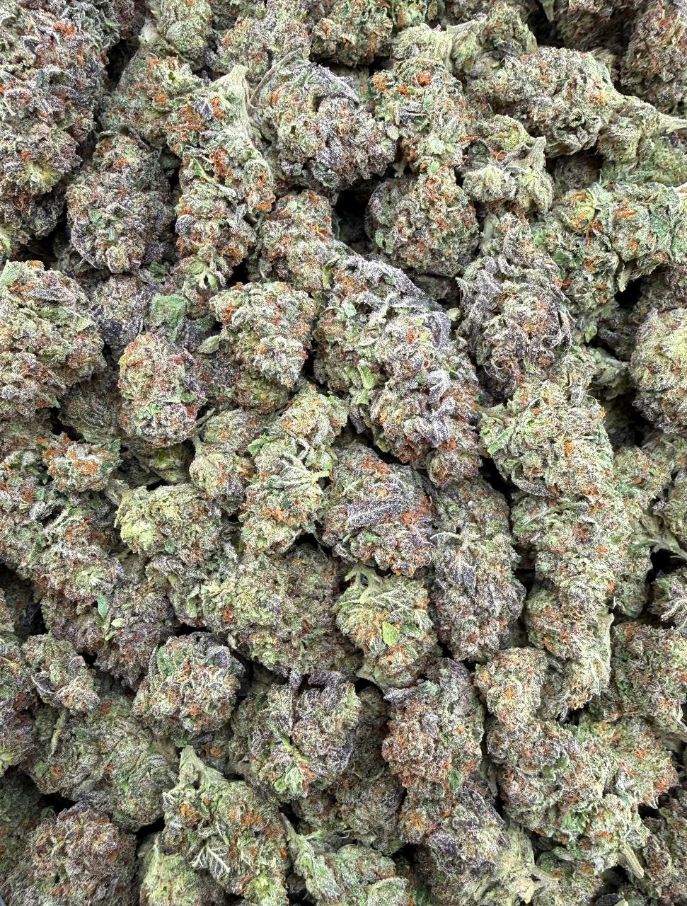 Bulk THCA Flower Exotic Shake & Trim Strains - Wholesale Indoor Grown Hemp | Lab Tested COA