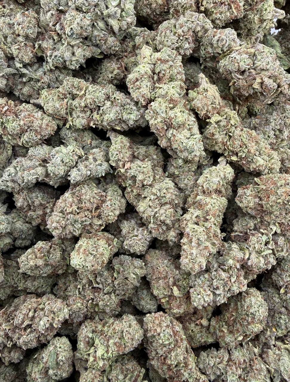 Bulk THCA Flower Exotic Shake & Trim Strains - Wholesale Indoor Grown Hemp | Lab Tested COA