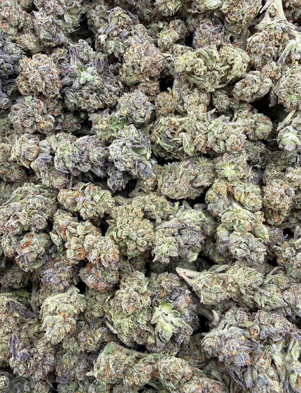 Bulk THCA Flower Exotic Shake & Trim Strains - Wholesale Indoor Grown Hemp | Lab Tested COA