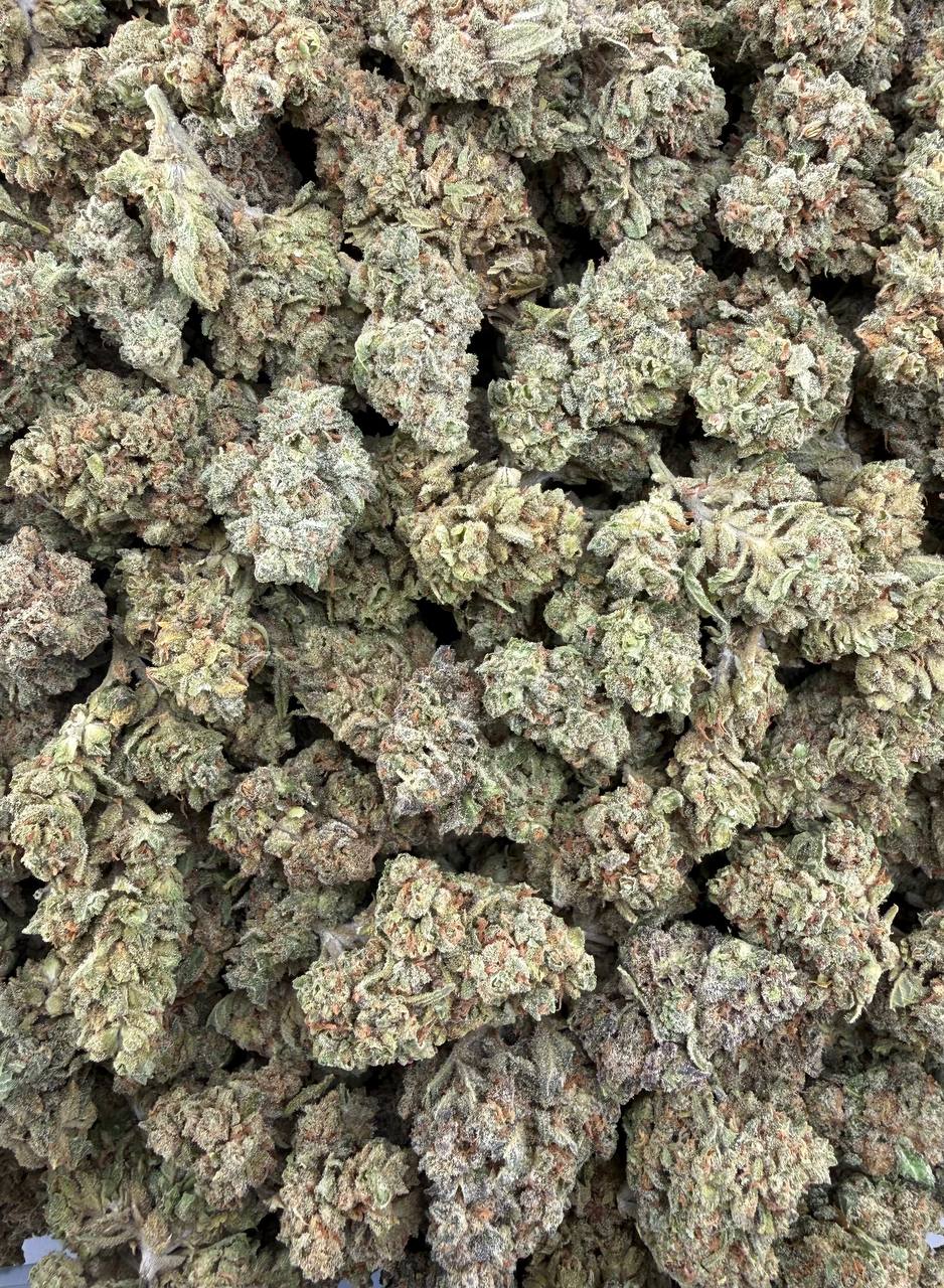 Bulk THCA Flower Exotic Shake & Trim Strains - Wholesale Indoor Grown Hemp | Lab Tested COA