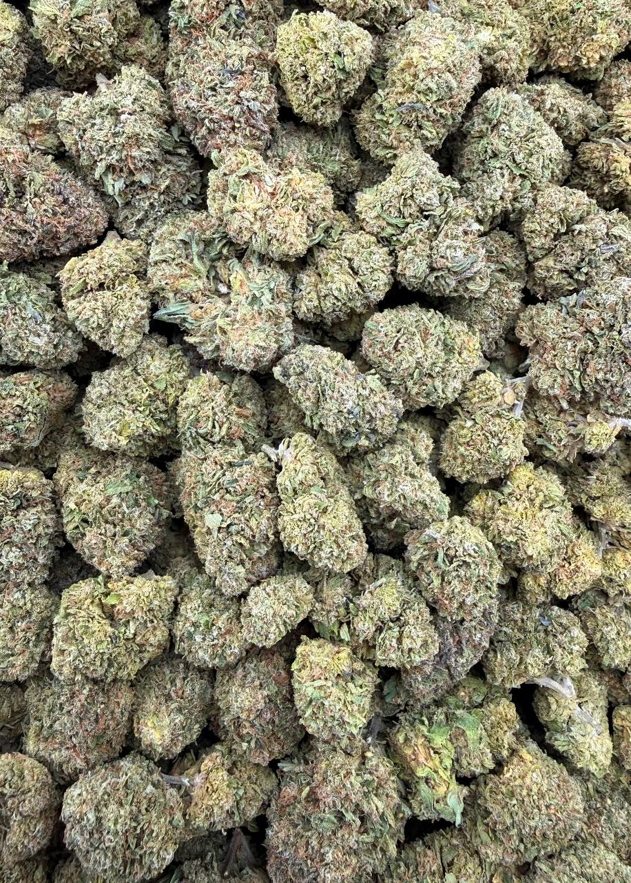 Bulk THCA Flower Exotic Shake & Trim Strains - Wholesale Indoor Grown Hemp | Lab Tested COA
