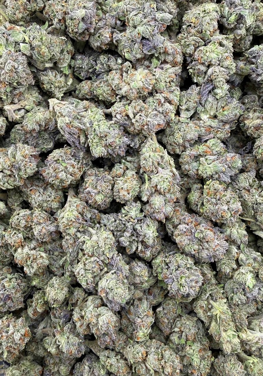 Bulk THCA Flower Exotic Shake & Trim Strains - Wholesale Indoor Grown Hemp | Lab Tested COA