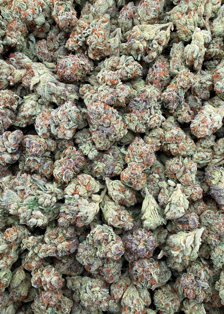 Bulk THCA Flower Exotic Shake & Trim Strains - Wholesale Indoor Grown Hemp | Lab Tested COA