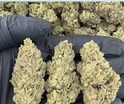 Bulk THCA Flower Exotic Shake & Trim Strains - Wholesale Indoor Grown Hemp | Lab Tested COA