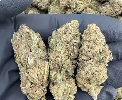 Bulk THCA Flower Exotic Shake & Trim Strains - Wholesale Indoor Grown Hemp | Lab Tested COA