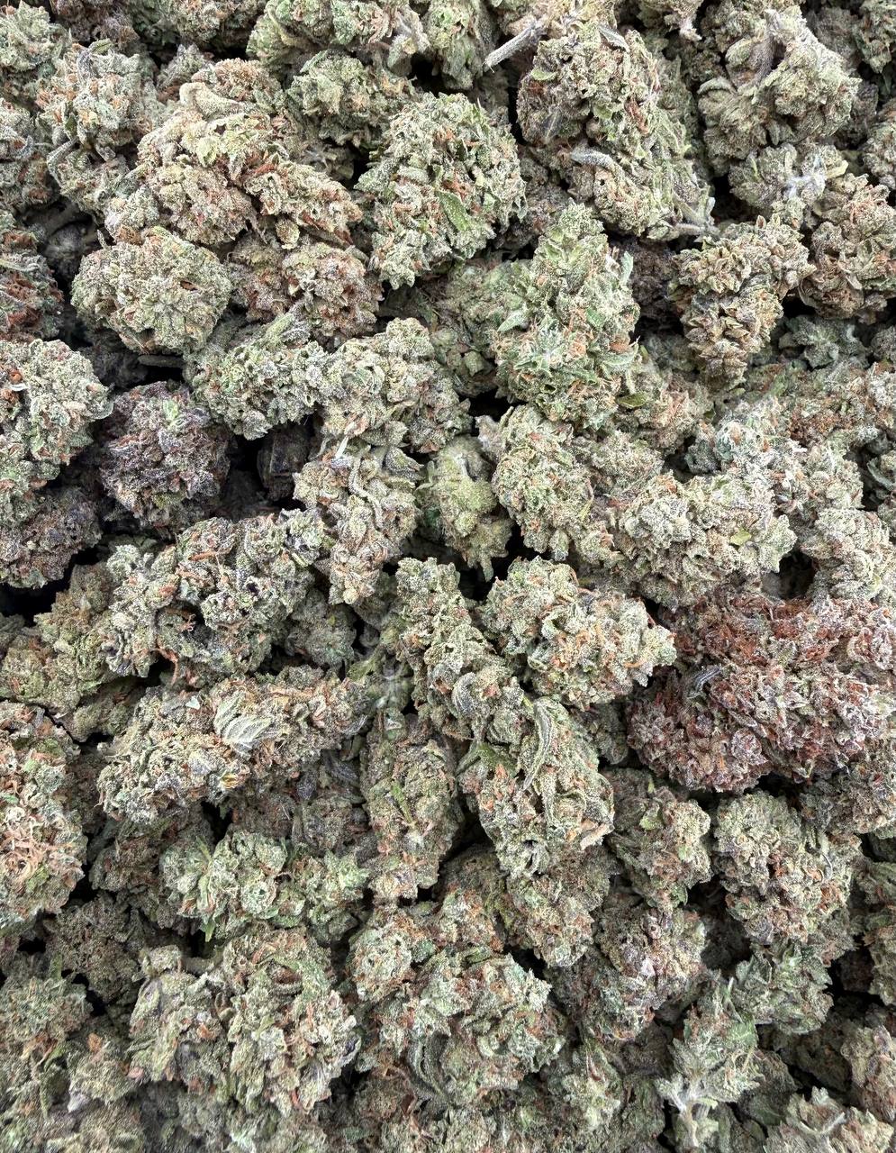Bulk THCA Flower Exotic Shake & Trim Strains - Wholesale Indoor Grown Hemp | Lab Tested COA