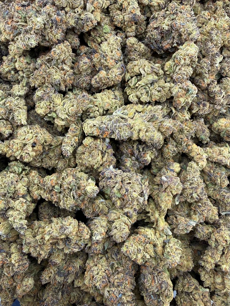 Bulk THCA Flower Exotic Shake & Trim Strains - Wholesale Indoor Grown Hemp | Lab Tested COA