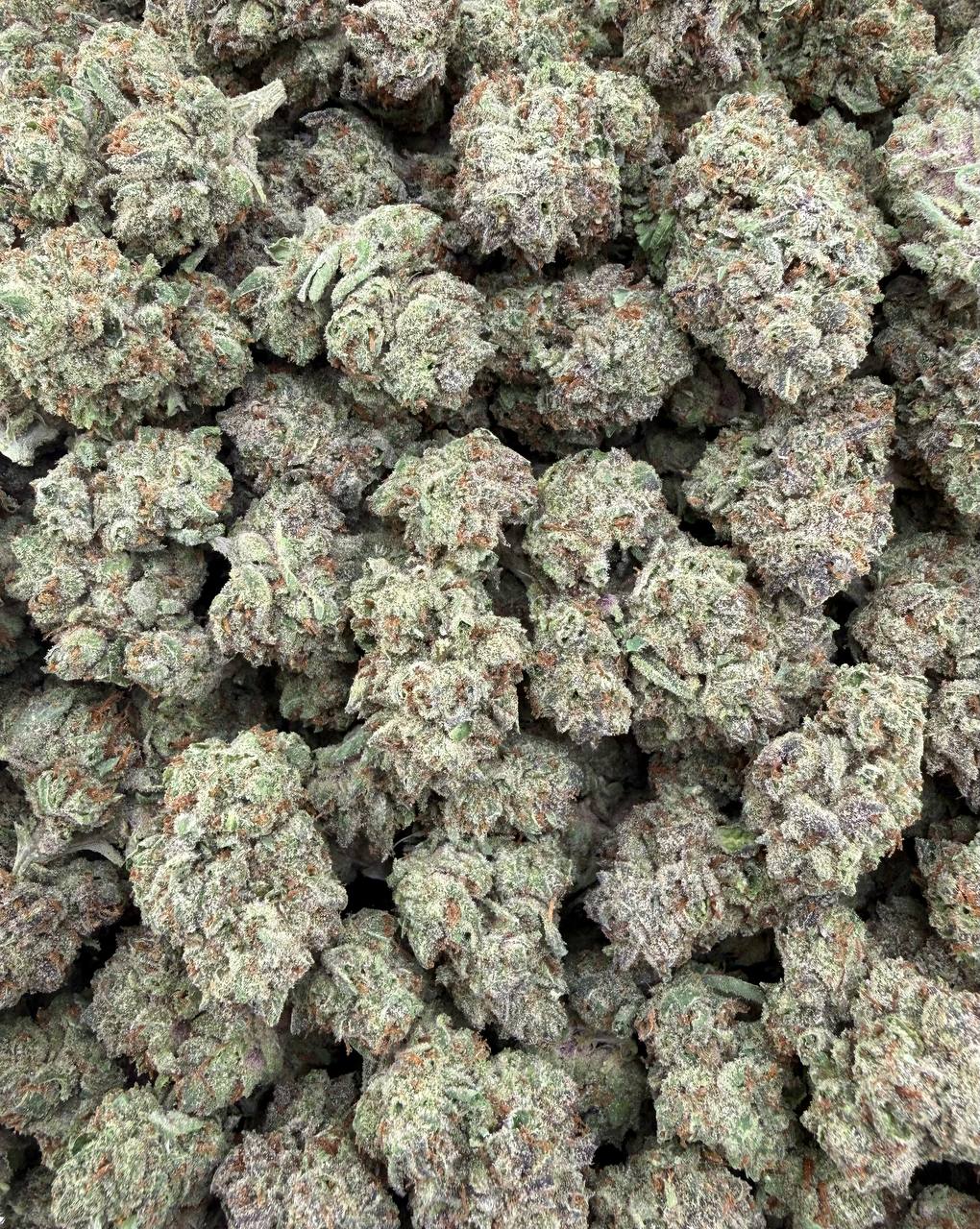 Bulk THCA Flower Exotic Shake & Trim Strains - Wholesale Indoor Grown Hemp | Lab Tested COA