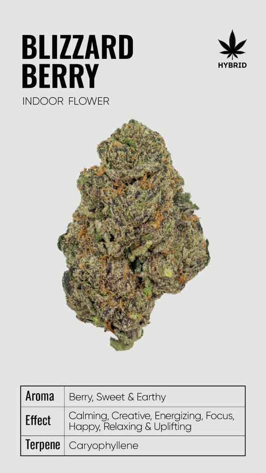 Bulk THCA Flower Super Premium Exotic Strains - Wholesale Indoor Grown Hemp | Lab Tested COA