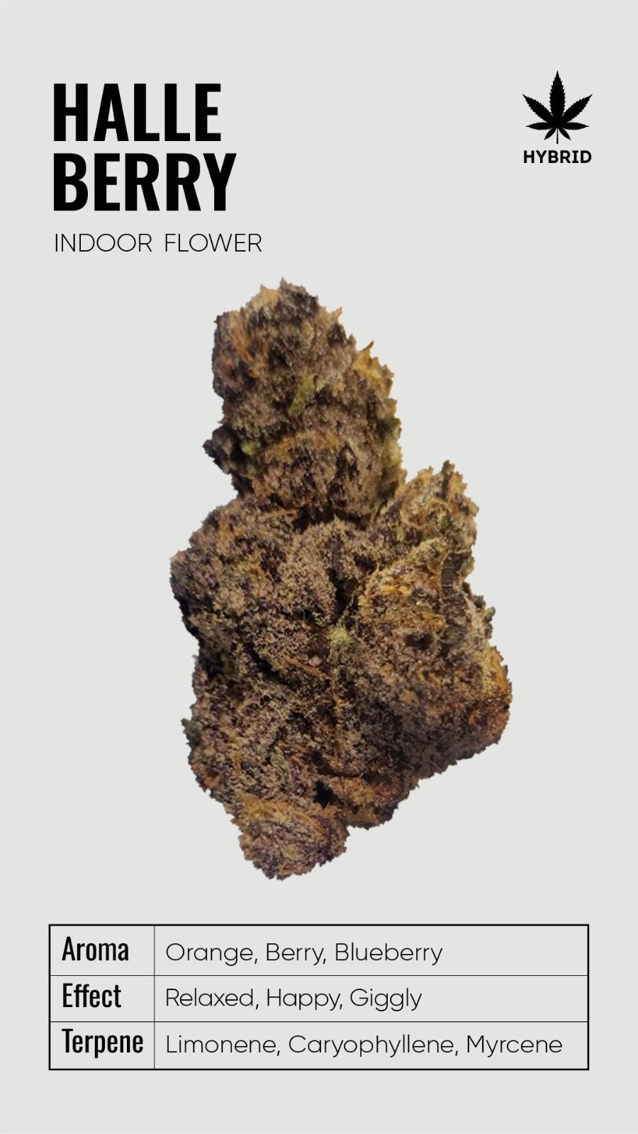 Bulk THCA Flower Super Premium Exotic Strains - Wholesale Indoor Grown Hemp | Lab Tested COA