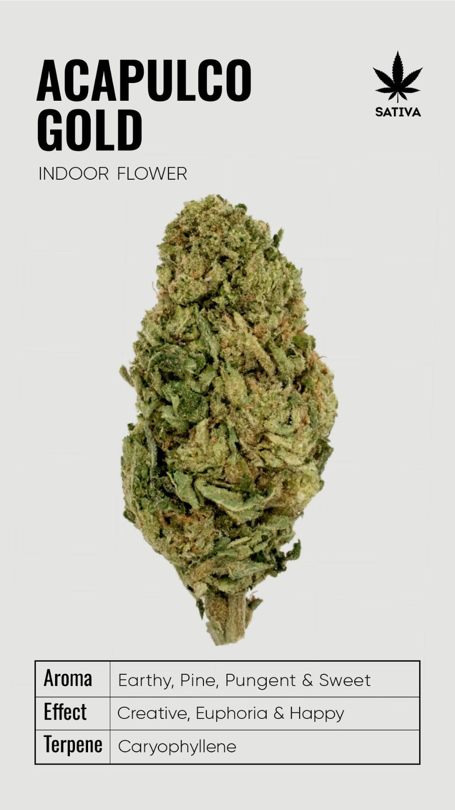 BULK THCA Flower PREMIUM Light Assist - Wholesale Indoor Grown Hemp | Lab Tested