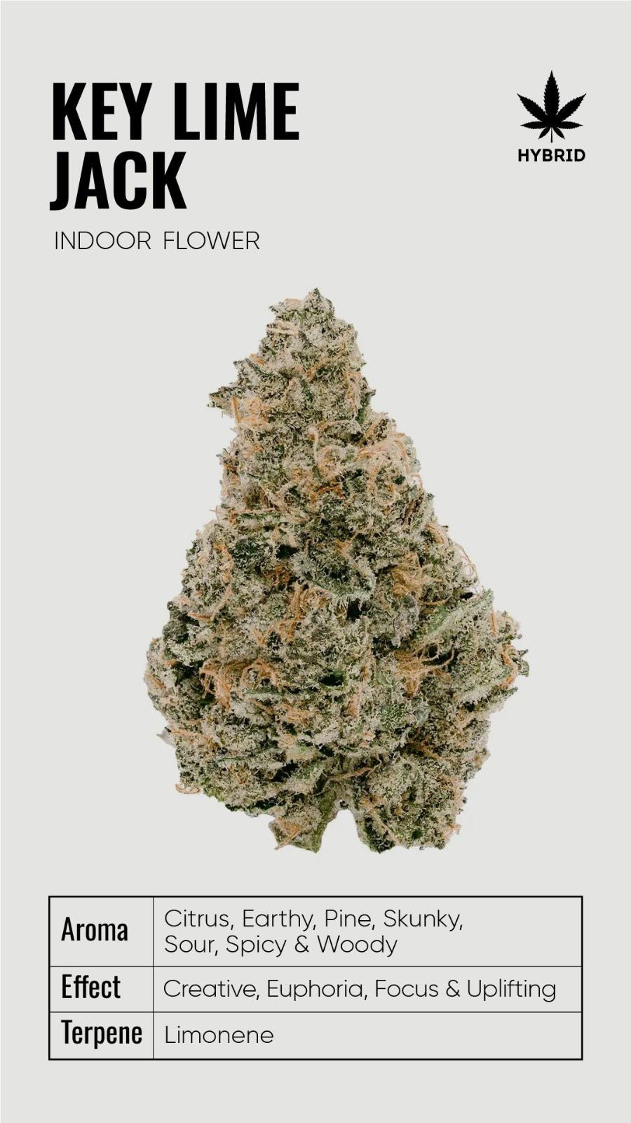 BULK THCA Flower PREMIUM Light Assist - Wholesale Indoor Grown Hemp | Lab Tested