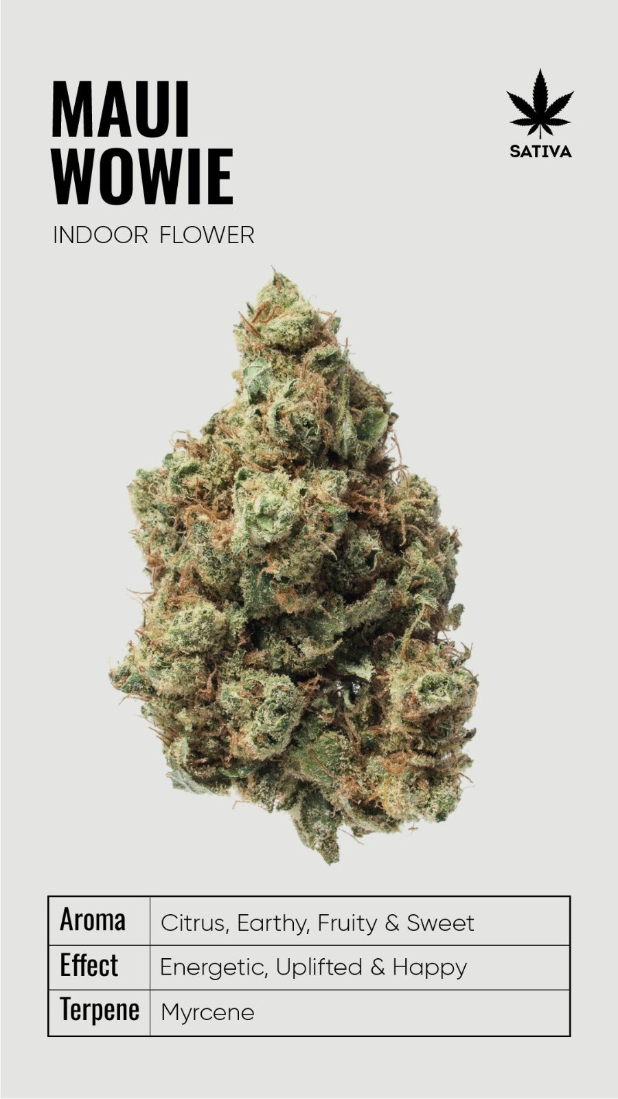 BULK THCA Flower PREMIUM Light Assist - Wholesale Indoor Grown Hemp | Lab Tested