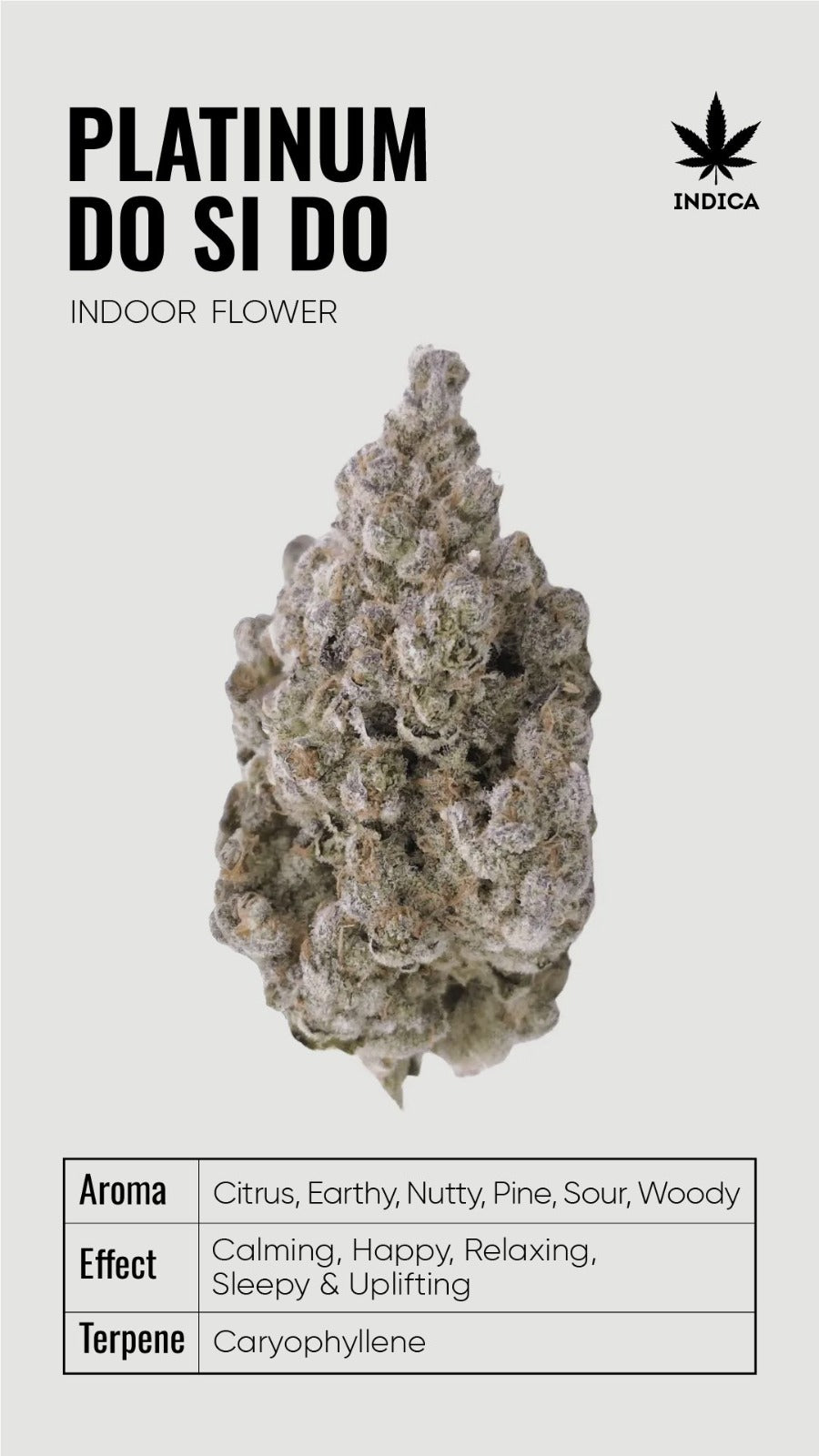 BULK THCA Flower PREMIUM Light Assist - Wholesale Indoor Grown Hemp | Lab Tested