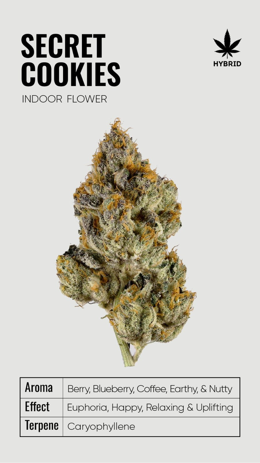 BULK THCA Flower PREMIUM Light Assist - Wholesale Indoor Grown Hemp | Lab Tested