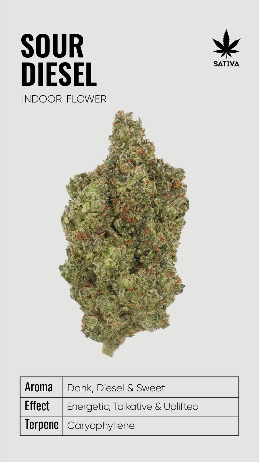 BULK THCA Flower PREMIUM Light Assist - Wholesale Indoor Grown Hemp | Lab Tested