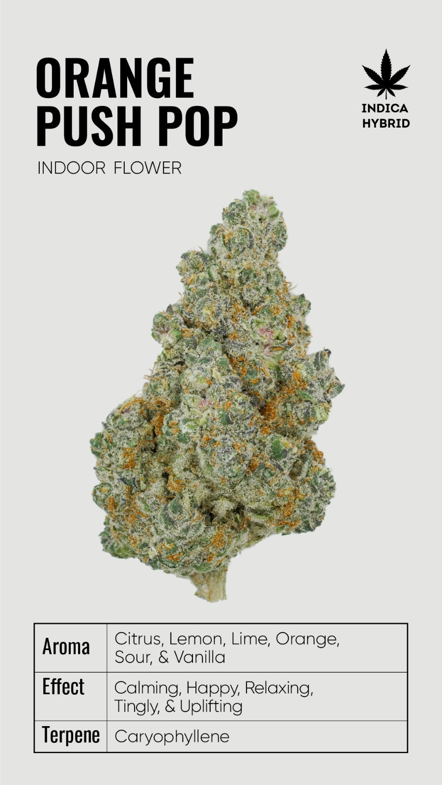 Bulk THCA Flower Super Premium Exotic Strains - Wholesale Indoor Grown Hemp | Lab Tested COA