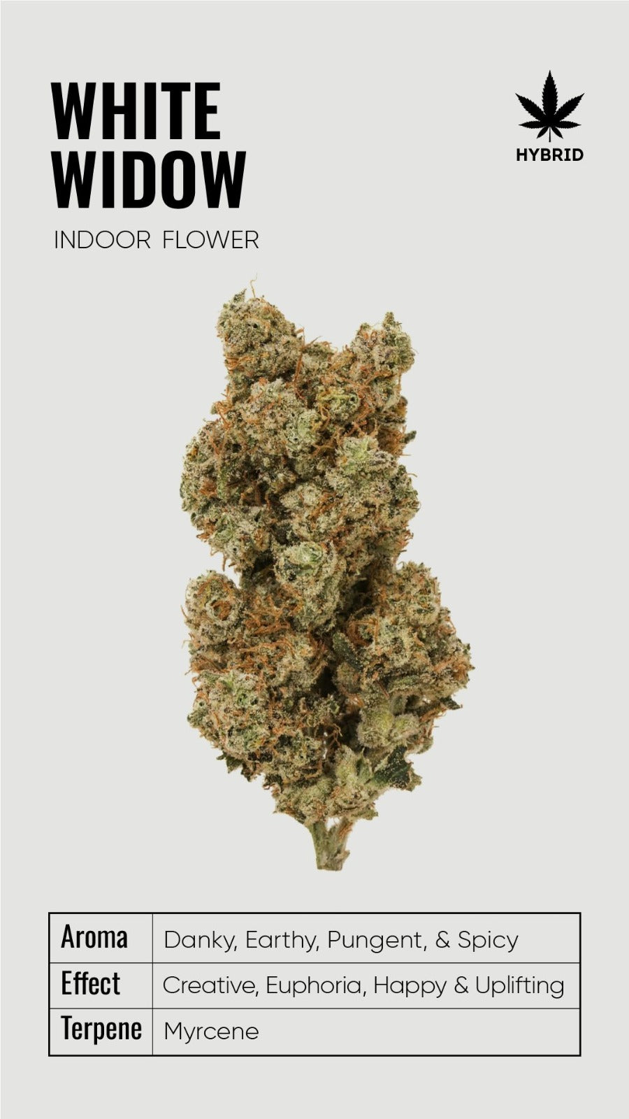 BULK THCA Flower PREMIUM Light Assist - Wholesale Indoor Grown Hemp | Lab Tested