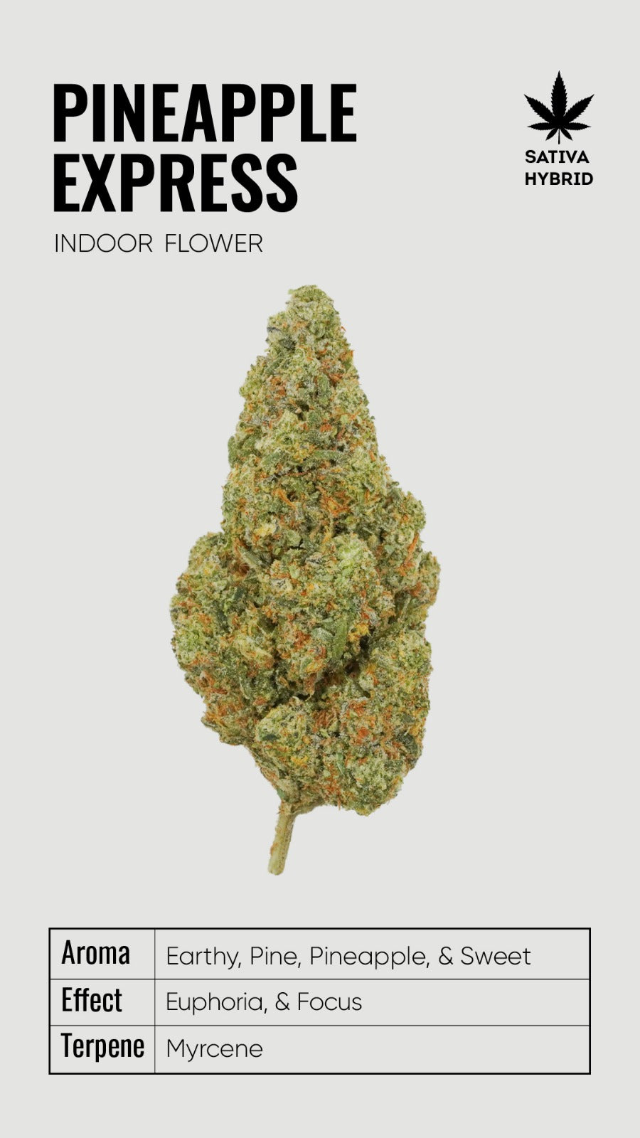 BULK THCA Flower PREMIUM Light Assist - Wholesale Indoor Grown Hemp | Lab Tested
